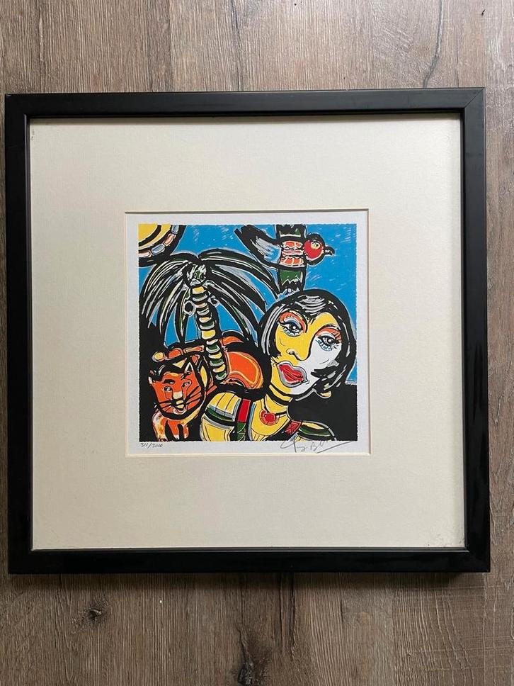 Kleurrijke ingelijste zeefdruk Fabian, Antiek en Kunst, Kunst | Etsen en Gravures, Ophalen