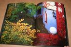 Hundertwasser-Krawina Huis Wenen [2004] — Geïllustreerd, Boeken, Ophalen of Verzenden, Zo goed als nieuw, Architecten