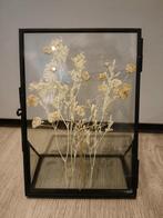Droogbloemen Schilderij in Glazen Frame, Antiek en Kunst, Ophalen of Verzenden