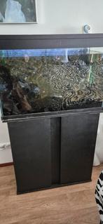 Leuk aquariumpje, Ophalen, Zo goed als nieuw, Leeg aquarium