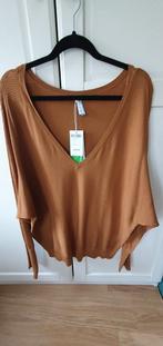 NIEUWE MISS ETAM TOP...maat xxl...IN MOOIE WARME HERFST TINT, Ophalen of Verzenden, Nieuw, Maat 46/48 (XL) of groter