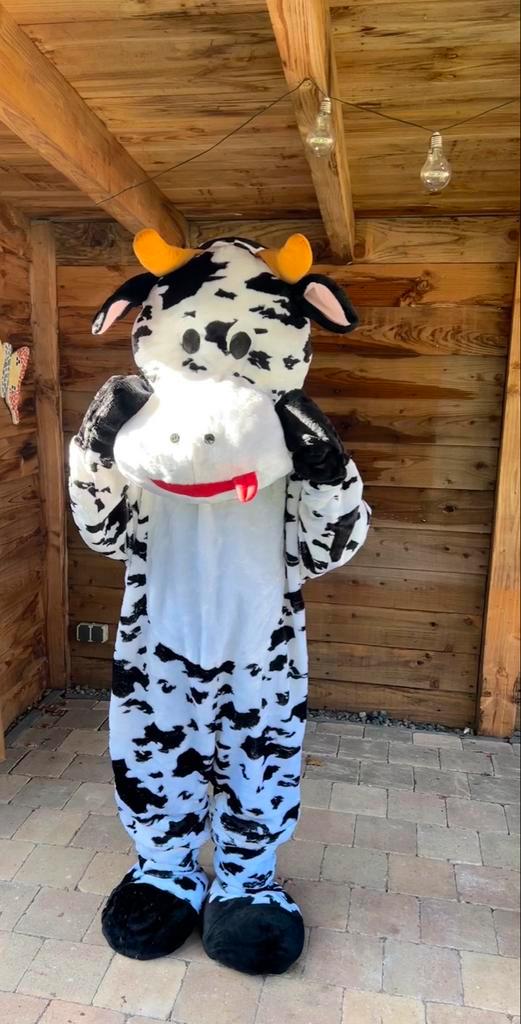 Mascotte Kostuum te Huur - Feestjes!, Kleding | Dames, Carnavalskleding en Feestkleding, Zo goed als nieuw, Kleding, Overige thema's