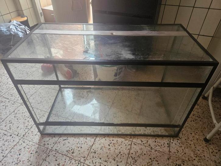 Terrarium, Dieren en Toebehoren, Reptielen en Amfibieën | Toebehoren, Gebruikt, Ophalen