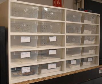 Aluracks Braplast Large  beschikbaar voor biedingen