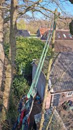 Boomverzorging, boomverzorger snoeien kappen van bomen, Ophalen of Verzenden, Lente