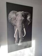 Olifant afbeelding 118 x 70 cm, Huis en Inrichting, Woonaccessoires | Schilderijen, Tekeningen en Foto's, Ophalen, Schilderij