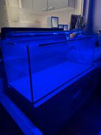 Aquarium 100/40/40 met heel gaaf licht., Dieren en Toebehoren, Vissen | Aquaria en Toebehoren, Ophalen, Zo goed als nieuw, Leeg aquarium