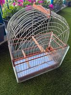 Te koop Surinaamse vogelkooi, Ophalen of Verzenden, Metaal, Vogelkooi