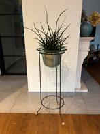 Decoratieve plantenbak - glas en metaal, Huis en Inrichting, Woonaccessoires | Zuilen en Pilaren, Ophalen, Zo goed als nieuw