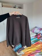 Sofie D'Hoore Sweater maat 42/44, Kleding | Dames, Ophalen of Verzenden, Zo goed als nieuw, Maat 34 (XS) of kleiner, Bruin