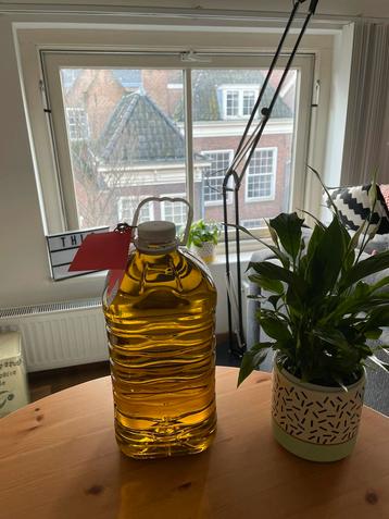 Extra virgin olive oil from Greece (cold pressed)