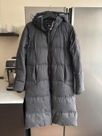 Tenson Winterjas Dames - Maat XS, Ophalen of Verzenden, Gedragen, Maat 34 (XS) of kleiner