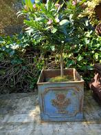 set van 2 zware gietijzeren jardinieres bloembakken, Tuin en Terras, Tuinvazen, Ophalen, Gebruikt