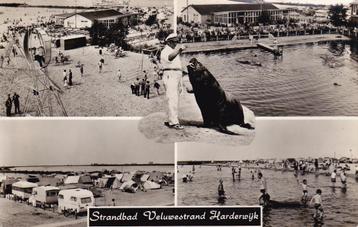 04330 - Harderwijk - 3 luik Strandbad Veluwestrand  beschikbaar voor biedingen