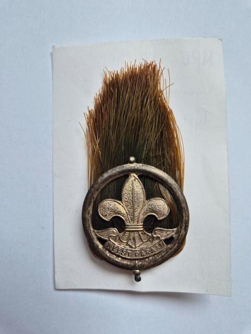 Scouting Hoedpluim NPV,  type 2, 1949 Hopman kleur Groen, Verzamelen, Scouting, Gebruikt, Embleem, Speld of Insigne, Ophalen of Verzenden