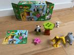 Duplo 10904 Baby dieren met doos en boekje, Ophalen of Verzenden, Zo goed als nieuw, Complete set, Duplo