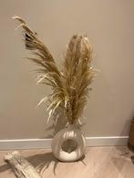 Pampas Pluimen - Stijlvolle Decoratie, Ophalen of Verzenden, Nieuw