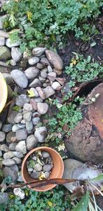 Kleinere- en kiezelstenen, Ophalen of Verzenden