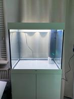 Juwel Lido 200 wit ZGAN + GARANTIE, Dieren en Toebehoren, Vissen | Aquaria en Toebehoren, Ophalen, Zo goed als nieuw, Leeg aquarium