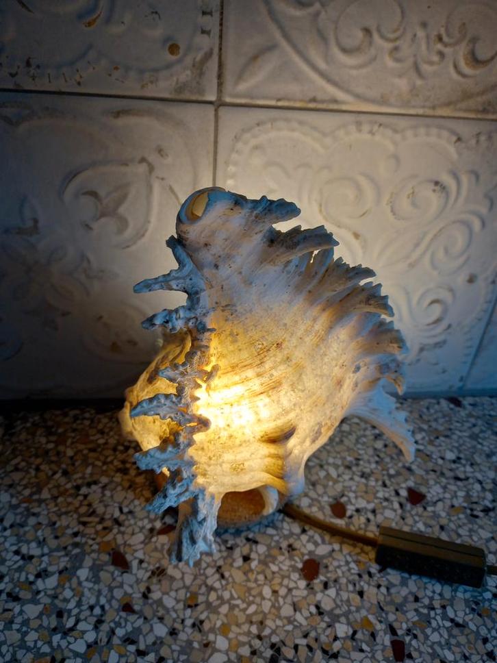 Vintage schelpen lamp/ledlamp, Antiek en Kunst, Curiosa en Brocante, Ophalen of Verzenden