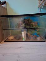 Terarrium bak., Kooi, Gebruikt, Muis, 75 tot 110 cm