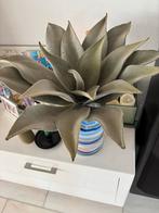 Agave kunst plant groot, Huis en Inrichting, Ophalen of Verzenden, Zo goed als nieuw