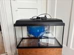 Juwel Aquarium met accessoires, Ophalen, Gebruikt, Leeg aquarium