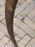 Takkenzaag, Tuin en Terras, Ophalen