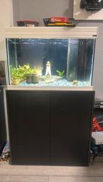 Aquarium Aquatlantis, Ophalen, Gebruikt, Gevuld zoetwateraquarium