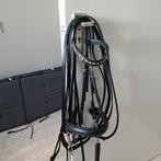 Stang en trens hoofdstel compleet, Ophalen, Gebruikt, Dressuur