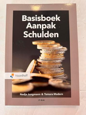 Nadja Jungmann - Basisboek aanpak schulden