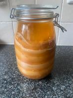 Kombucha scoby gratis, Diversen, Ophalen