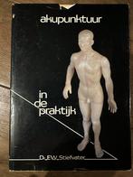 Akupunktuur in de praktijk - Dr. E.W. Stiefvater, Ophalen of Verzenden, Zo goed als nieuw