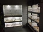 broedkooien, Dieren en Toebehoren, Vogels | Hokken en Kooien, Ophalen, Gebruikt, Hout, Broedkooi of Kweekkooi