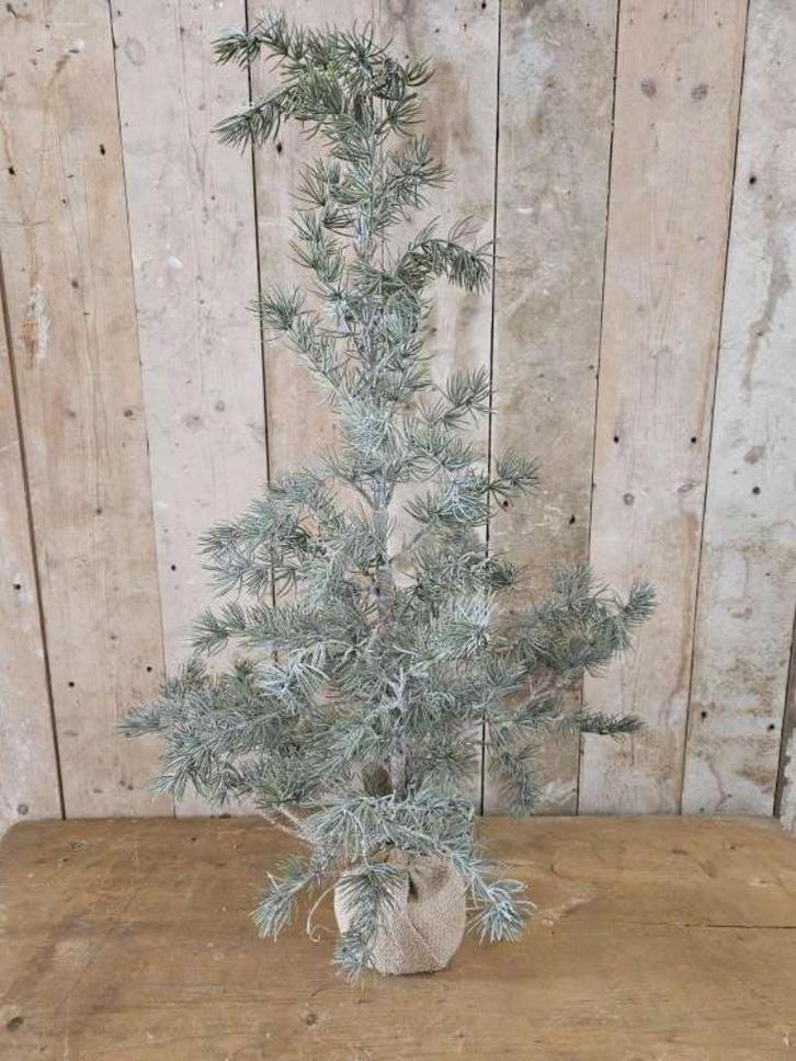 ceder boompje ``WOONWINKEL RUSTIEK``, Antiek en Kunst, Curiosa en Brocante, Ophalen of Verzenden