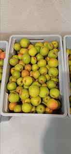 Stoofperen  !! 1euro per Kilo...!!, Diversen, Ophalen
