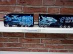Tekno  Scania  NGS  S - Serie  van  Ekdahl  Arctic  Griffin.