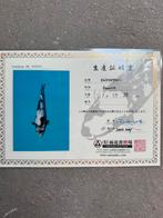 Koi met en zonder certificaat, Karper of Koi