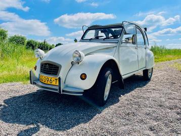 2cv6 Spécial blanc meije 04-1987 114.028 km | import France beschikbaar voor biedingen