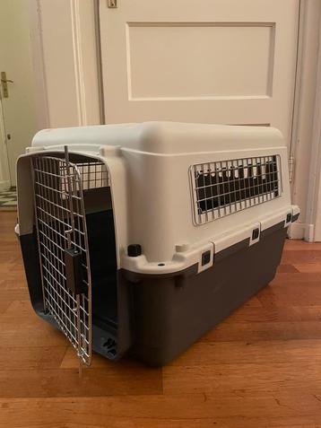 Transportbox M voor dieren van Nomad beschikbaar voor biedingen