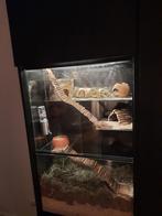 56x35x90 knaagdieren terrarium voor Ikea kast Besta lijn, Ophalen of Verzenden, 90 cm of meer, Hok, Hamster