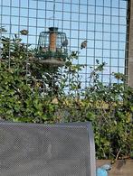 VOERKOOI VOOR VOGELS voor buiten met opvangbak en voer, Dieren en Toebehoren, Vogels | Toebehoren, Ophalen, Gebruikt, Eten en Drinken