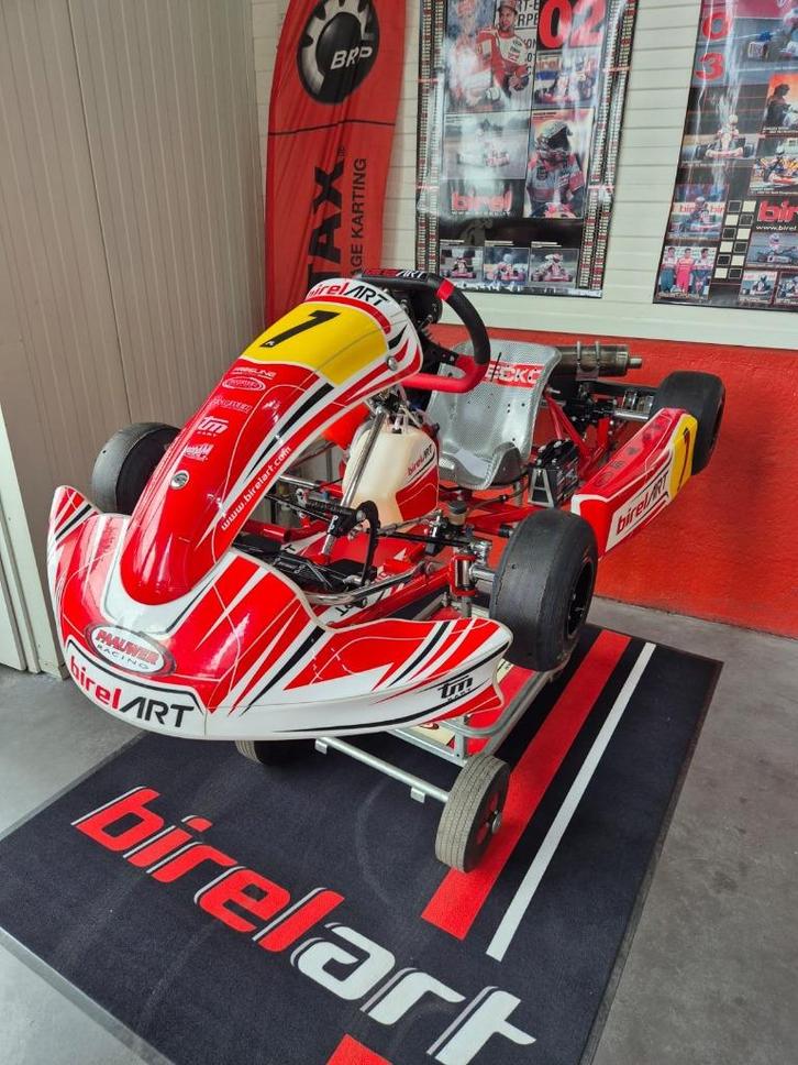 Birel art 2024 mini kart met TM 60cc mini motor, Sport en Fitness, Karting, Gebruikt, Kart, Ophalen