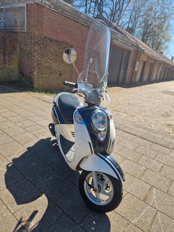 Mio snor / of brom 2013  beschikbaar voor biedingen
