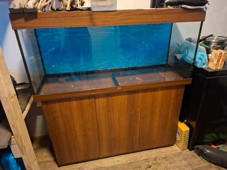 Aquarium juwel 121x41x128cm, Dieren en Toebehoren, Vissen | Aquaria en Toebehoren, Gebruikt, Gevuld zoetwateraquarium, Ophalen