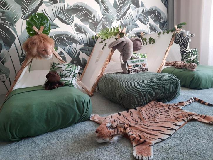 Jungle /Tipi slaapfeestje /kinderfeestje / tipitent, Hobby en Vrije tijd, Feestartikelen | Verhuur, Zo goed als nieuw, Verjaardag
