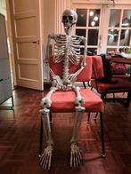 Halloween attributen piraten thema, Hobby en Vrije tijd, Feestartikelen, Ophalen, Halloween of Griezel