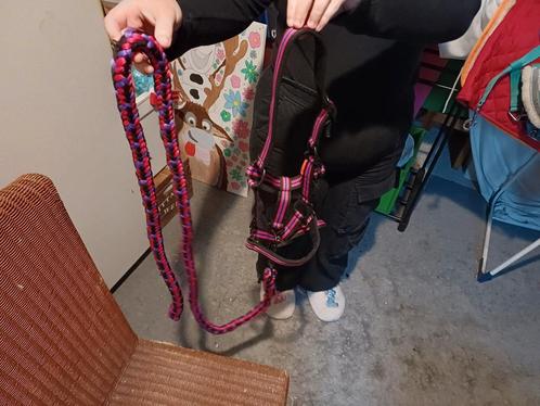 Halster en touw maat shetty, Dieren en Toebehoren, Paarden en Pony's | Hoofdstellen en Tuigage, Zo goed als nieuw, Overige soorten