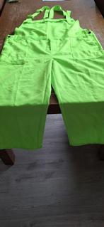 Carnavals tuinbroek - Maat 44 - Dames, Kleding | Dames, Carnavalskleding en Feestkleding, Ophalen, Carnaval, Maat 42/44 (L), Kleding