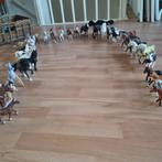 41 schleich paarden, veulens, en Shetlanders, Ophalen of Verzenden, Zo goed als nieuw